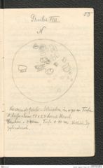 Seite 56, Tagebuch "Ossarn 1927" (NHMW-PRAE-BBB-22)